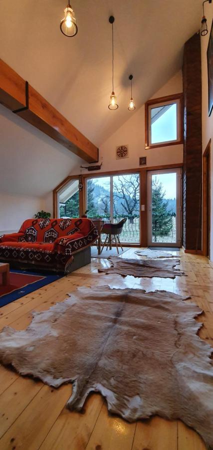 Villa Bran 99 Extérieur photo
