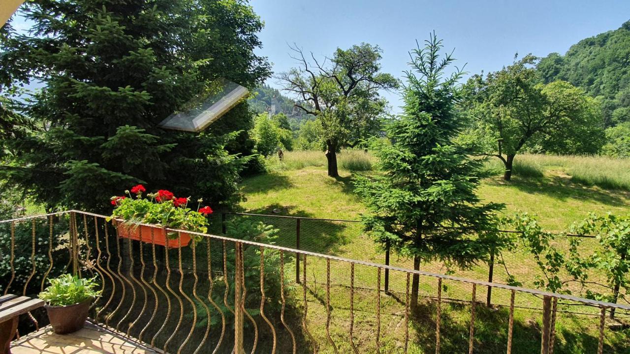Villa Bran 99 Extérieur photo